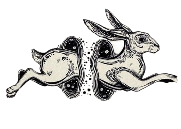 Rabbit Hole Clothing